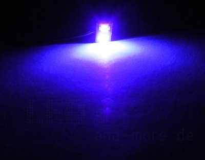 Moba Haus-Beleuchtung UV Schwarzlicht mit 2 LEDs 5 - 24 Volt